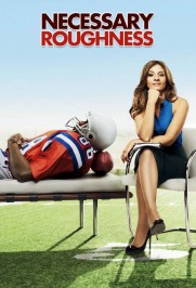 Necessary Roughness Necessary Roughness