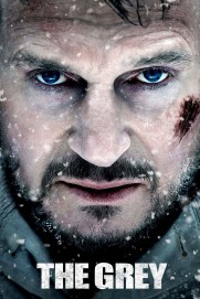The Grey The Grey