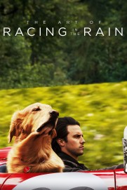 The Art of Racing in the Rain The Art of Racing in the Rain