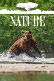 Nature Nature