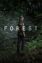 The Forest The Forest