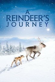 A Reindeer's Journey A Reindeer's Journey