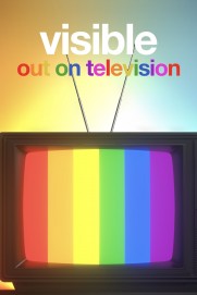 Visible: Out On Television Visible: Out On Television
