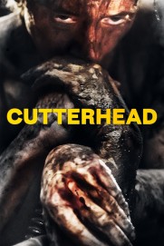 Cutterhead Cutterhead