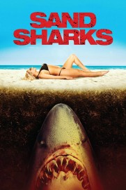 Sand Sharks Sand Sharks