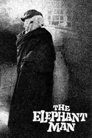 The Elephant Man The Elephant Man